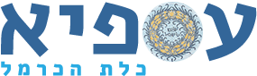 מועצה מקומית עספיא